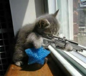 Cute, cuddly, stone cold killers